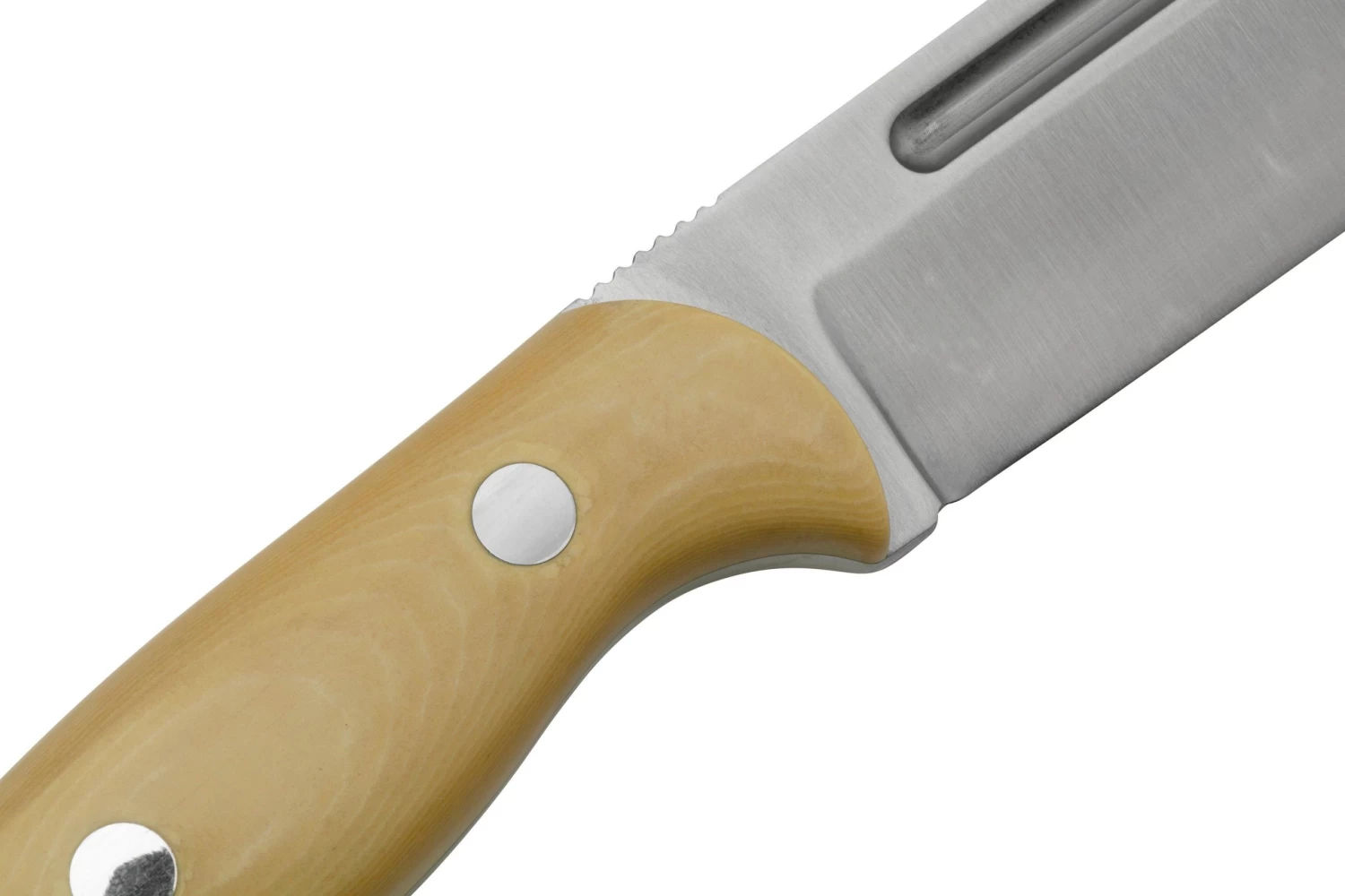 Bark River Cub CPM 3V Antique Ivory Micarta, Cuchillo De Bushcraft - Imagen 5